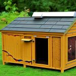 The Benefits of Choosing Producer’s Pride Sentinel Chicken Coop for Your Backyard Flock