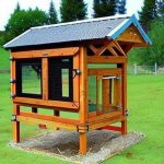 Building Your Own Frame Chicken Coop: A Comprehensive Guide with Free PDF Plans