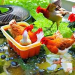 Beat the Heat: Tips for Keeping Your Chickens Cool During Summer