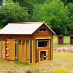 The Ultimate Guide to Building a Chicken Coop for 10 Hens
