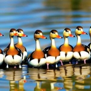 10 Adorable Small Duck Breeds That Make Perfect Pets