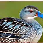 Discover the Fascinating World of Grey Duck Breeds