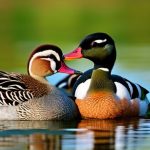 Discover 5 Friendly Duck Breeds for Your Flock