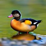 Discover the Adorable World of Miniature Duck Breeds: A Guide to Small-Sized Ducks