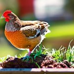 Discover the Joys of Raising Chickens in Indianapolis: A Guide for Urban Chicken Keepers