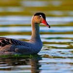 The Fascinating Breeding Behavior of Geese: A Closer Look at Their Mating and Nesting Habits