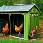 Maximizing Your Metal Shed: The Ultimate Guide to Keeping Chickens