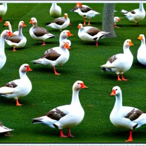 8 Creative Ways to Keep Geese Off Your Lawn: A Guide for Homeowners