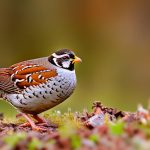 Discover the Benefits of Keeping Quail Indoors: Can You Do It