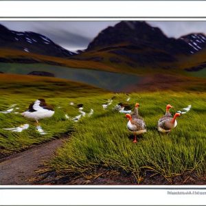 Discover the Secrets of Raising Geese in the Wild Beauty of Alaska