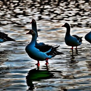 10 Effective Ways to Keep Geese Away from Boat Docks