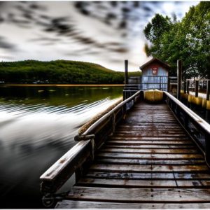 Effective Ways to Protect Your Dock from Geese and Keep It Clean