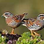 5 Effective Ways to Keep Quail Out of Your Garden