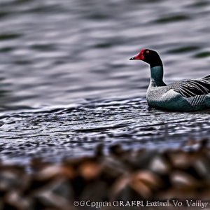 10 Effective Ways to Keep Geese Away from Beaches and Preserve a Clean Environment