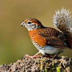 10 Effective Techniques to Deter Squirrels from Your Quail Block