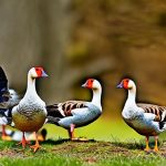 Effective Strategies for Keeping Geese Out of Your Yard