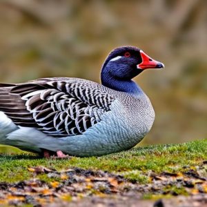 Effective Techniques for Keeping Geese Out of Your Yard