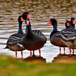 Efficient Solution: Short Black Fencing Effectively Keeps Geese Out