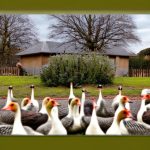 5 Foolproof Ways to Keep Geese Out of Your Garden