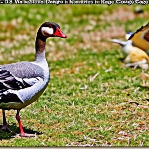 10 Foolproof Ways to Keep Geese Away From Your Property