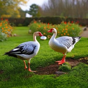 10 Foolproof Ways to Keep Geese Away: Protect Your Property and Gardens