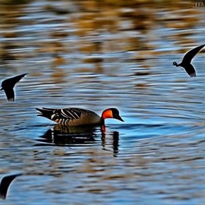 10 Foolproof Methods for Keeping Geese Away from Your Lakefront