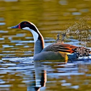 10 Foolproof Ways to Deter Canada Geese and Protect Your Property