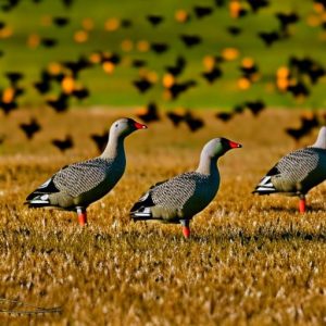 Keep Geese Away from Your Lawn with These Effective Decoys