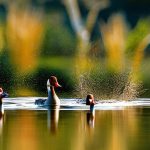 Transform Your Pond with the Charming Addition of Geese: Tips for Keeping Geese in Your Pond