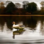How to Keep Geese Away and Preserve the Serenity of Your Lakeside Retreat