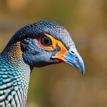 How Guinea Fowl Can Help Keep Snakes Away: A Natural Solution for Homeowners