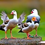 The Joy of Keeping Backyard Geese: How to Care for Your Flock