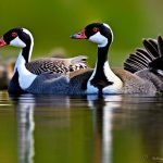 Keeping Canada Geese Away: Effective Strategies for Protecting Your Yard