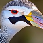 Keeping the Geese Happy and Healthy: How the Zoo Maintains their Habitat Clean