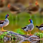 Mixing It Up: Can I Keep Chickens, Ducks, and Geese Together