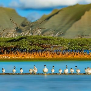 Preserving the Unique Beauty of Hawaiian Geese: A Conservation Effort