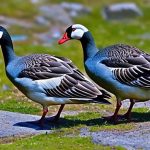 Proven Methods for Keeping Geese Off Your Property: A Guide for Property Owners