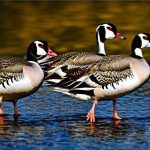 Protecting Your Dock: How to Keep Canadian Geese Away