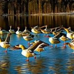 Protecting Your Lakeshore: Effective Strategies for Keeping Geese at Bay