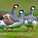 Protecting Your Property: Tips for Keeping Geese Off Your Grass and Beach