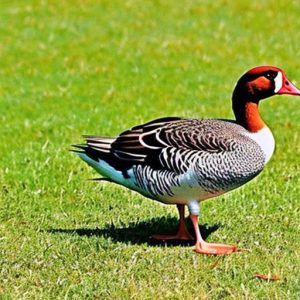 Protecting Your Lawn: Effective Strategies for Keeping Geese Away