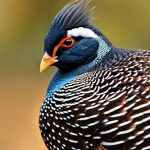 10 Proven Methods to Ensure Guinea Fowl Stay Cozy and Warm During Cold Weather