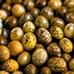 How Long Can You Keep Quail Eggs? Discover the Best Storage Methods for Freshness