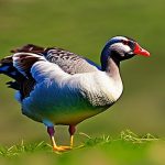 Transform Your Lawn: Effective Tips for Keeping Geese at Bay