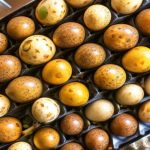 The Ultimate Guide to Storing Cooked Quail Eggs: How Long Can They Last