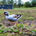 The Ultimate Guide to Modern Homesteading: How to Keep Geese on Your Farm