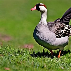 The Ultimate Guide to Keeping Geese Off Your Lawn: The Best Way to Protect Your Property