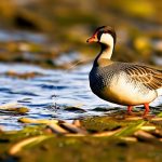 Using Fishing Line to Deter Geese: A Creative Solution for Keeping Your Property Goose-Free