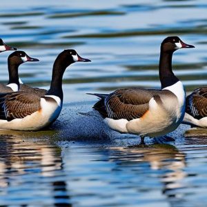 Keep Canadian Geese at Bay with These Effective Methods: A Guide for Wildlife Management