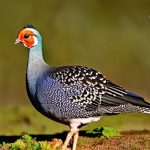 are guinea fowl easy to keep